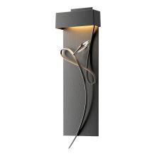 Hubbardton Forge - Canada 205440-LED-10-07-CR - Rhapsody LED Sconce