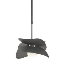 Hubbardton Forge - Canada 369455-SKT-LONG-20 - Hibiscus Outdoor Pendant